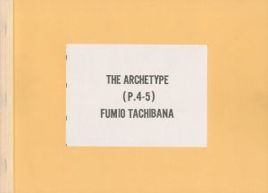 「THE ARCHE TYPE (P.4.5) / Fumio Tachibana」画像1