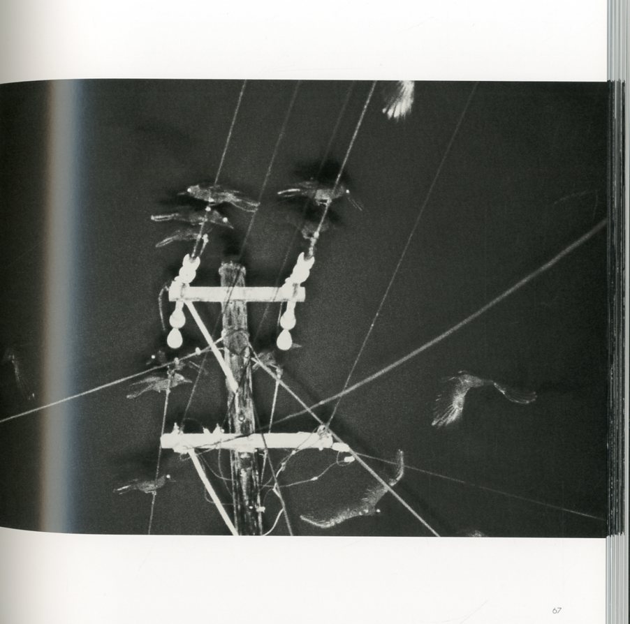Masahisa Fukase The Solitude of Ravens / Masahisa Fukase