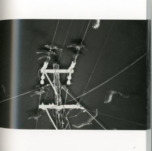 「Masahisa Fukase　The Solitude of Ravens / Masahisa Fukase」画像2