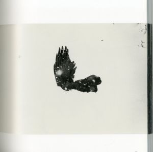 「Masahisa Fukase　The Solitude of Ravens / Masahisa Fukase」画像3