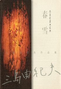 「金閣寺・潮騒　他三島由紀夫作品　中国版（11冊セット） / 三島由紀夫」画像7