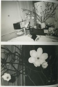 「SELF / LIFE / DEATH / Nobuyoshi Araki」画像1