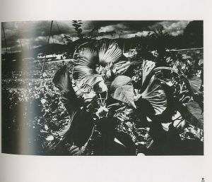 「MORIYAMA Daido 1970-1979 / 森山 大道」画像3