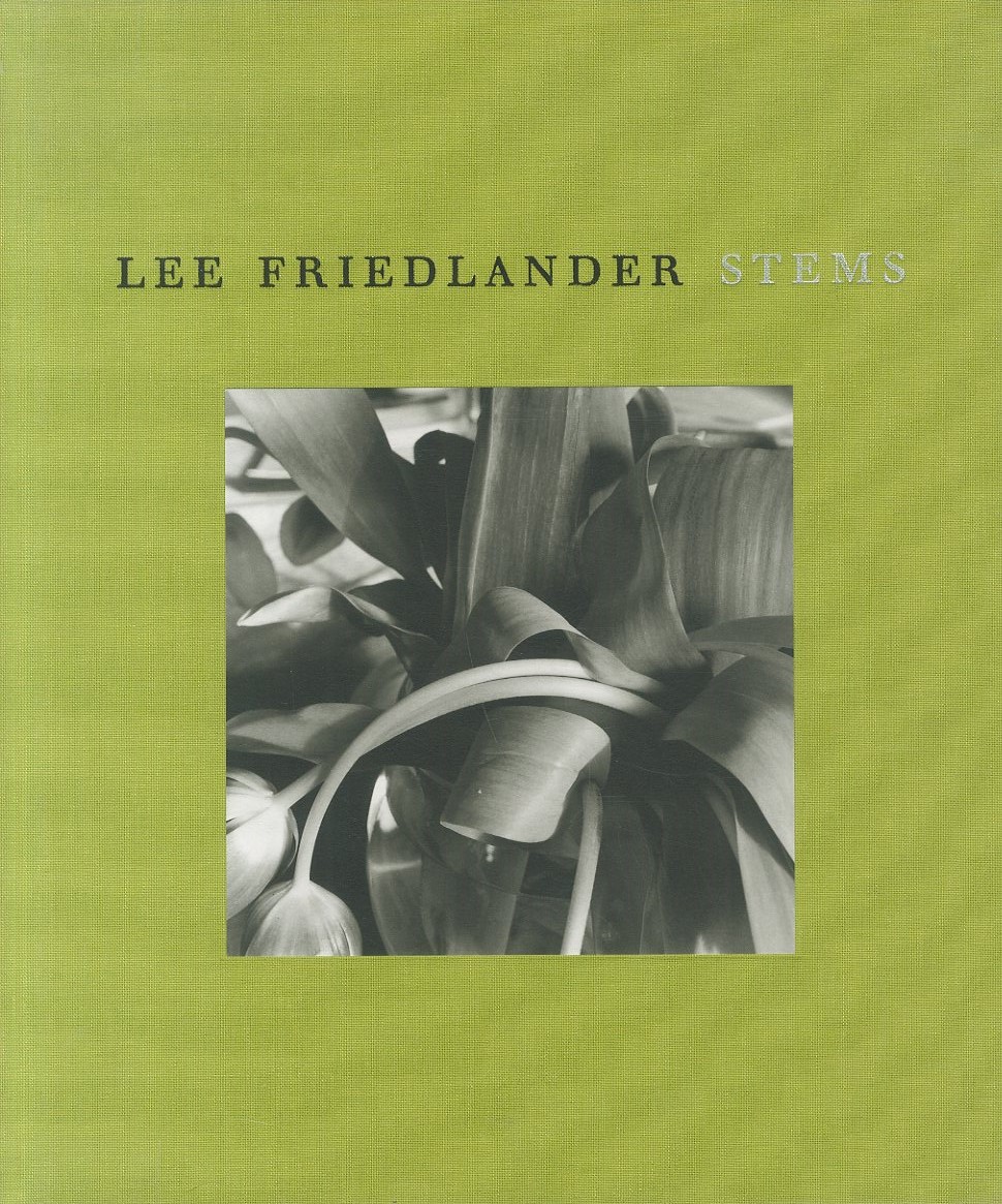 STEMS / LEE FRIEDLANDER | 小宮山書店 KOMIYAMA TOKYO | 神保町