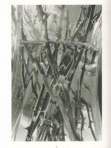 「STEMS / LEE FRIEDLANDER 」画像2