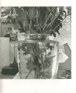 「STEMS / LEE FRIEDLANDER 」画像2