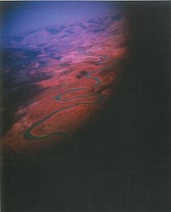 「INFRA / Richard Mosse」画像1