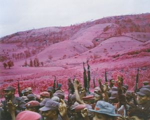 「INFRA / Richard Mosse」画像3