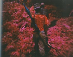 「INFRA / Richard Mosse」画像4