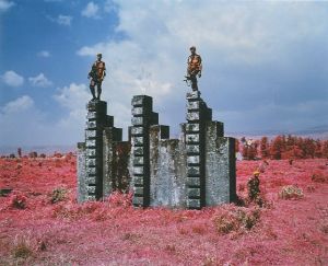 「INFRA / Richard Mosse」画像10