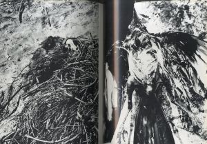 「Poesie der Photographie / Author: Lucien Clergue Cover illustration: Pablo Picasso illustration: Jean Cocteau」画像3