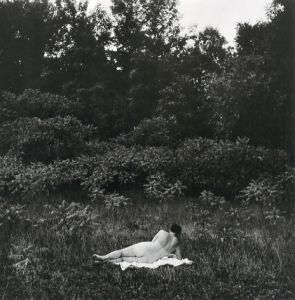 「Photographs Harry Callahan / Harry Callahan」画像3