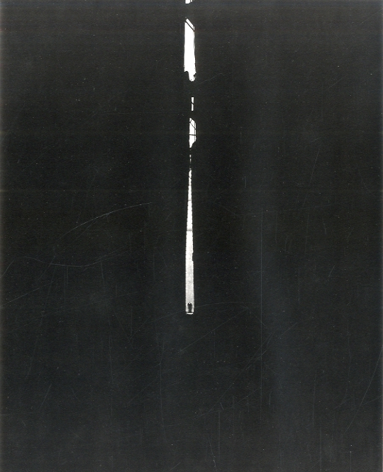 Photographs Harry Callahan / Harry Callahan | 小宮山書店