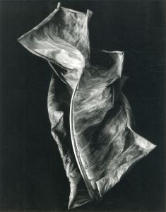 「Master Photographer / Brett Weston」画像9