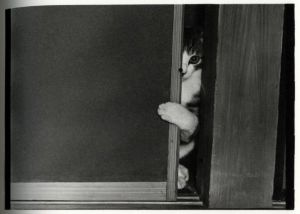 「Afterword（Special Edition） / 深瀬昌久」画像11