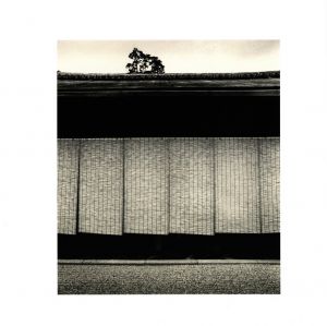 「日本 / マイケル・ケンナ」画像7