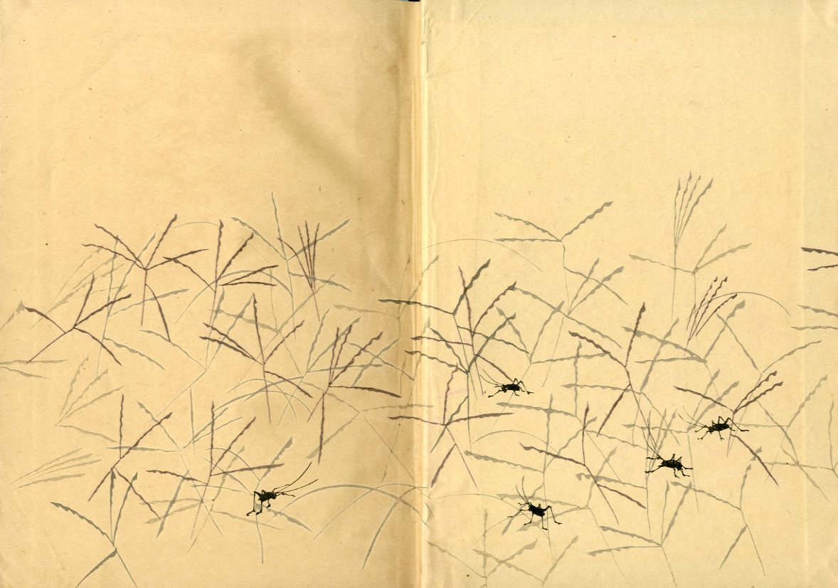 小村雪岱画集 / 小村雪岱 | 小宮山書店 KOMIYAMA TOKYO | 神保町 小村雪岱画集 / 小村雪岱 | 小宮山書店 KOMIYAMA TOKYO | 神保町