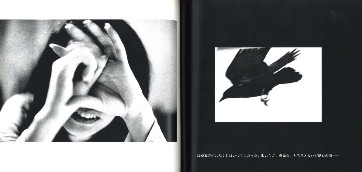 洋子 / 写真:深瀬昌久 序文:山岸章二 解説:瀬戸内晴美 | 小宮山書店