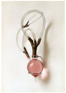 「Pink The Exposed Color in Contemporary Art and Culture / Edit: Barbara Nemitz」画像2