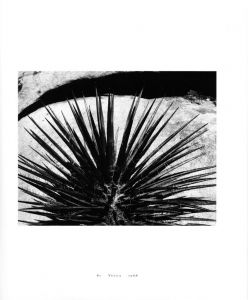 「Master Photographer / Brett Weston」画像4