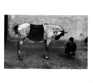 「EXILES / Josef Koudelka 」画像4