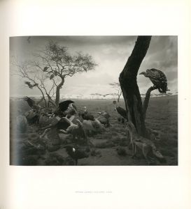 「HIROSHI SUGIMOTO (English augmented edition) / Hiroshi Sugimoto」画像2