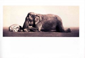 「Ashes and Snow / Santa Monica Exhibition Catalog / Gregory Colbert」画像3