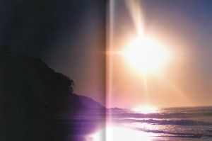 「Mark Borthwick Abandom Reverie / Mark Borthwick」画像4