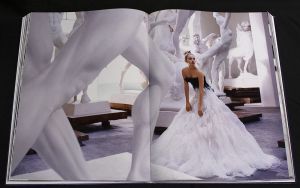 「【サイン入 / Signed】MARIO TESTINO PRIVATE VIEW / Mario Testino」画像13