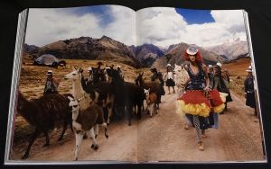 「【サイン入 / Signed】MARIO TESTINO PRIVATE VIEW / Mario Testino」画像17