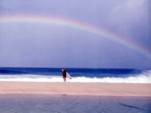 「Surfing Photographs from the Seventies Taken by Jeff Divine / Jeff Divine」画像2