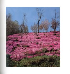 「さくら 桜 サクラ 120 【献呈サイン入】 / 写真：東松照明　監修：伊藤俊治」画像5