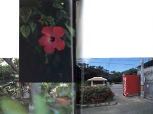 「荒木センチメンタル沖縄　1971-2005 / 荒木経惟」画像4