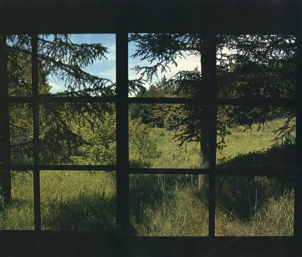 Amazon.co.jp: 篠山 紀信「快楽の館」写真集 原美術館 壇蜜