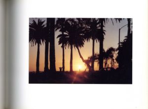 「Golden Palms / Ed Panal」画像3