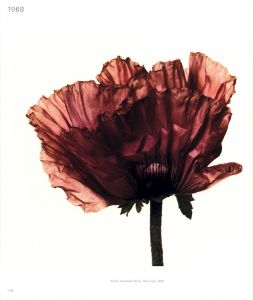 「Passage / Irving Penn」画像3