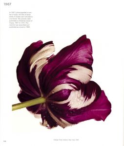 「Passage / Irving Penn」画像4