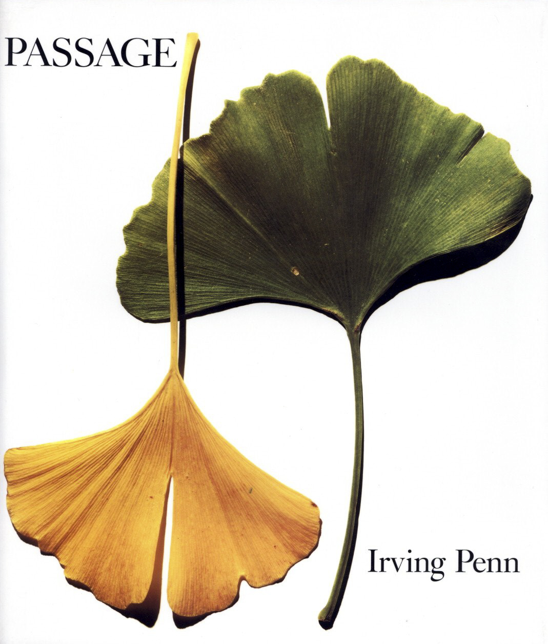 「Passage / Irving Penn」メイン画像
