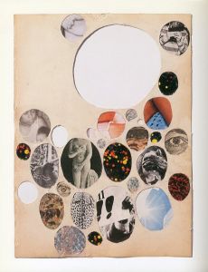 「The Age of Collage　Contemporary Collage in Modern Art / 編集: Dennis Busch, Hendrick Hellige, Robert Klanten」画像3