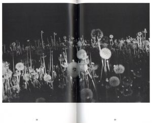 「L’inaccessible étoile. Un voyage dans le temps Der unerreichbare Stern. Eine Reise in die Zeit Foto Folie 6 / Evgen Bavcar」画像1