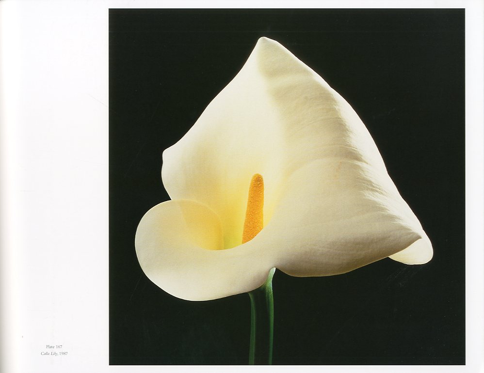 MAPPLETHORPE THE COMPLETE FLOWERS / Author: Robert Mapplethorpe