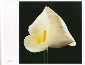 「MAPPLETHORPE THE COMPLETE FLOWERS / Author: Robert Mapplethorpe Essay: Herbert Muschamp」画像4