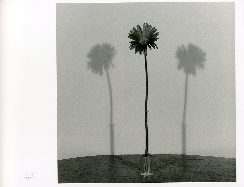 MAPPLETHORPE THE COMPLETE FLOWERS / Author: Robert Mapplethorpe