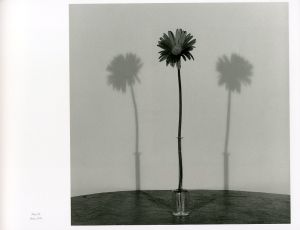 「MAPPLETHORPE THE COMPLETE FLOWERS / Author: Robert Mapplethorpe Essay: Herbert Muschamp」画像6