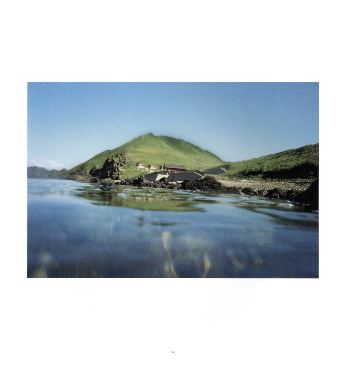 half awake and half asleep in the water / Asako Narahashi half awake and half asleep in the water / Asako Narahashi