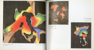 「WORKS 1960 - 1990 / グリエルモアキレカヴェリーニ」画像5