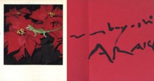 NOBUYOSHI ARAKI POLAEROID／荒木経惟（NOBUYOSHI ARAKI POLAEROID／Nobuyoshi Araki)のサムネール