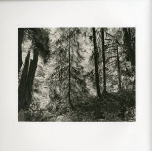 「REDWOOD SAW / リチャード・ロスマン」画像1