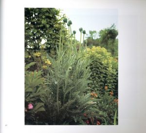 「THE GARDENS AT GIVERNY / Stephen Shore 」画像4