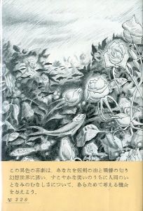 「薔薇と海賊 / 三島由紀夫」画像1